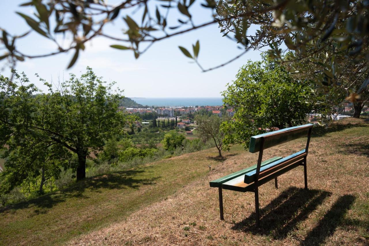 Istrian Casa Ladonia By Locap Group Villa Portorož Eksteriør billede