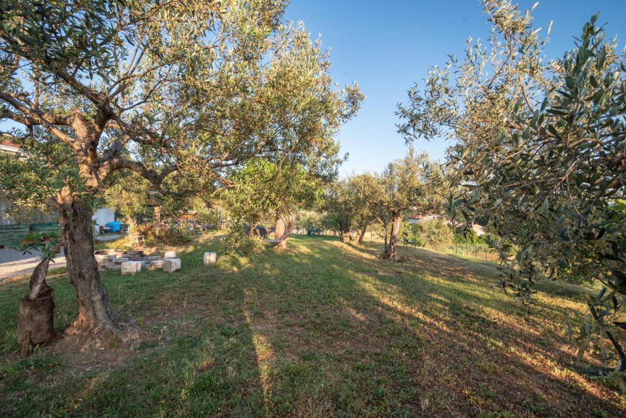 Istrian Casa Ladonia By Locap Group Villa Portorož Eksteriør billede